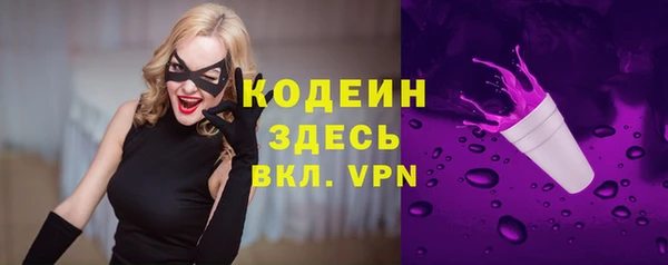 тгк Абаза
