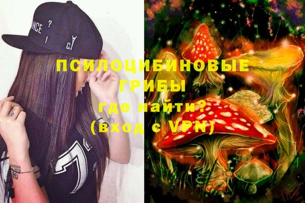 шишки Абинск