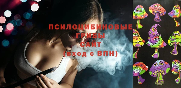 шишки Абинск
