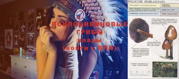 mdpv Алексин