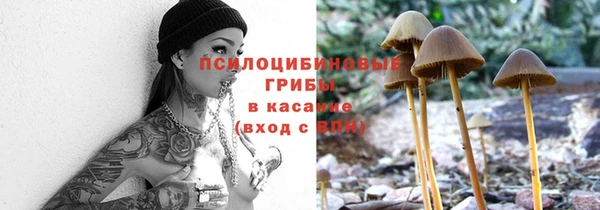 тгк Абаза
