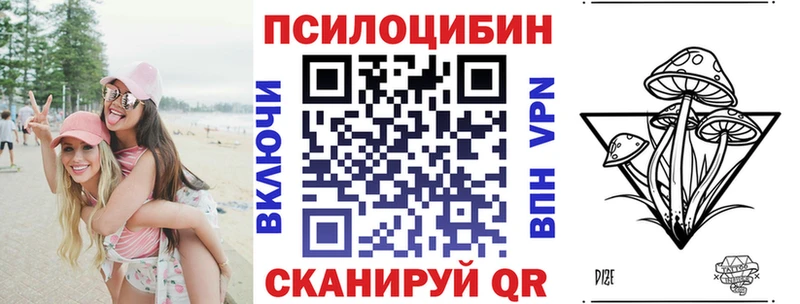 купить цена Пучеж Галлюциногенные грибы GOLDEN TEACHER